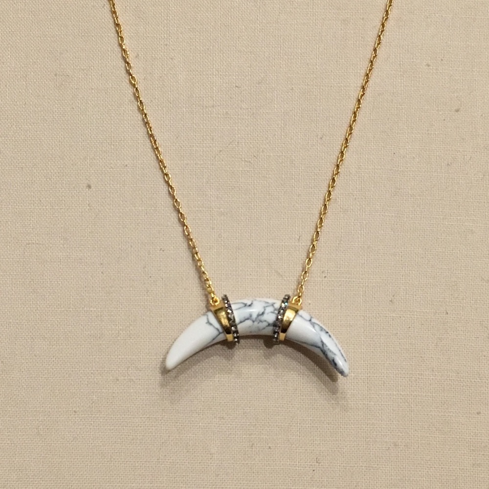 Stella & Dot Horn Pendant Necklace